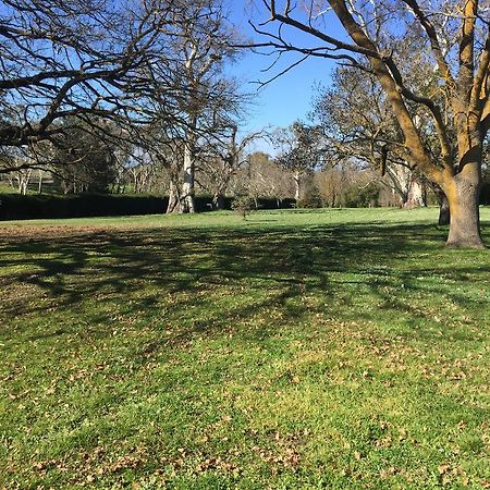 Collingrove Homestead Angaston Exterior foto