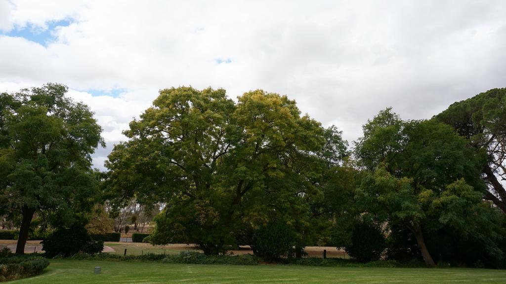 Collingrove Homestead Angaston Exterior foto