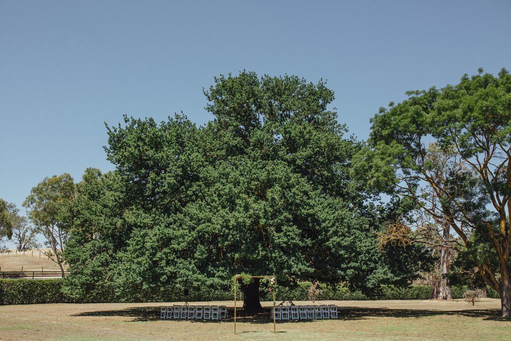 Collingrove Homestead Angaston Exterior foto